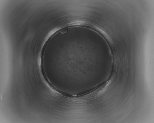 X0000112951418200908241333