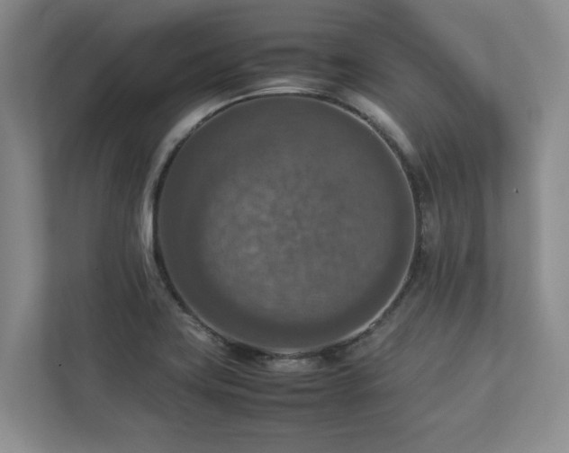 X0000112951419200908241333