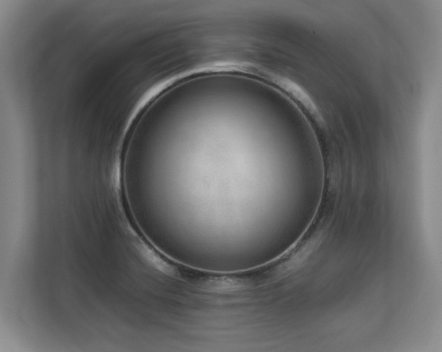 X0000112951420200908241333