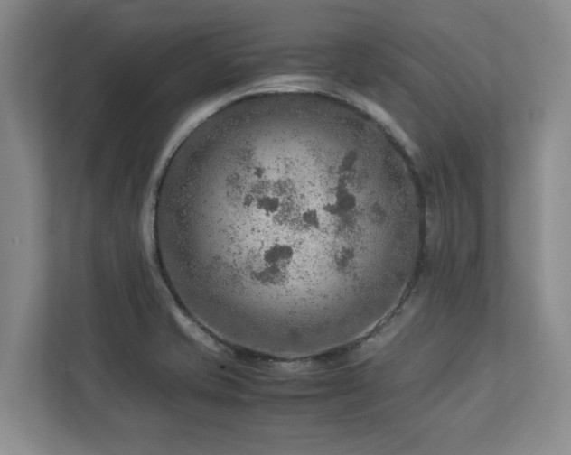 X0000112951421200908241333
