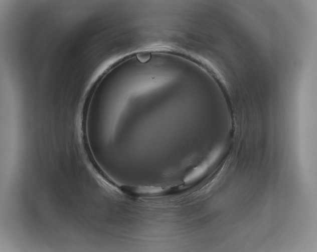 X0000112951422200908241334