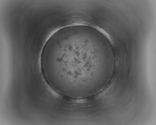X0000112951423200908241334
