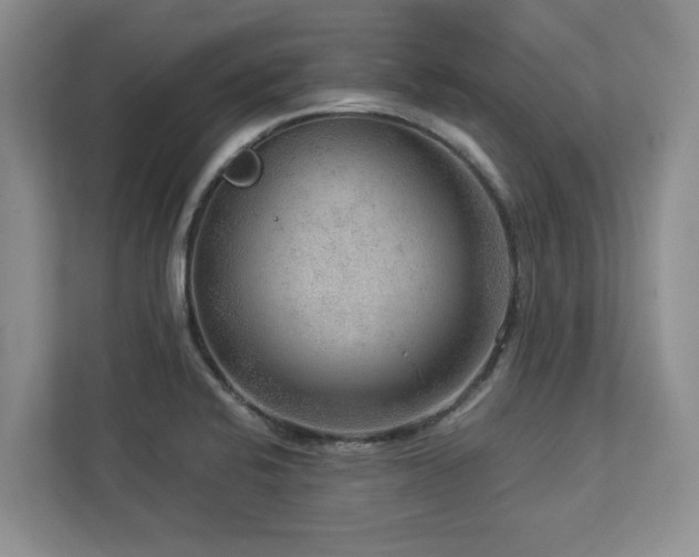 X0000112951424200908241334