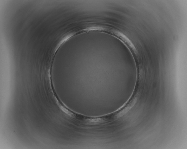 X0000112951425200908241334