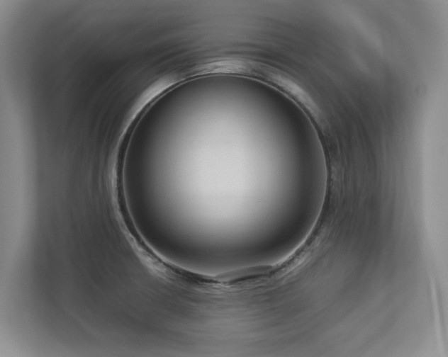 X0000112951426200908241334