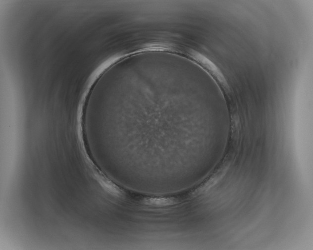 X0000112951427200908241334