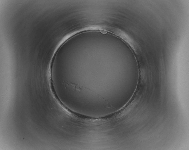 X0000112951428200908241334