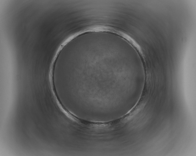 X0000112951429200908241334