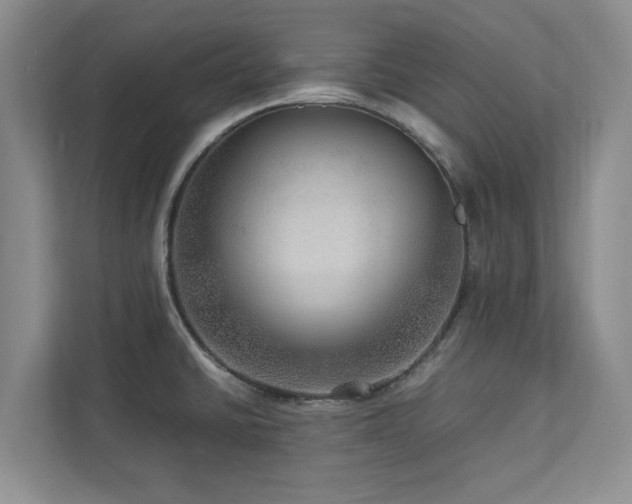 X0000112951430200908241334