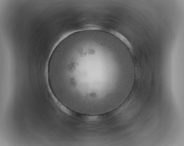 X0000112951431200908241334