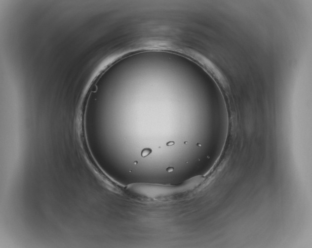 X0000112951432200908241334