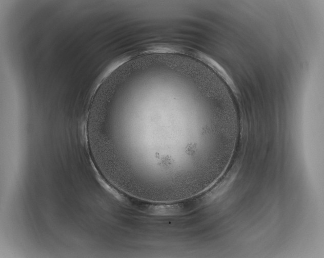 X0000112951433200908241334