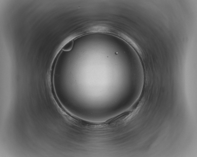 X0000112951434200908241334