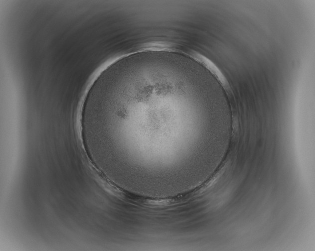 X0000112951435200908241334
