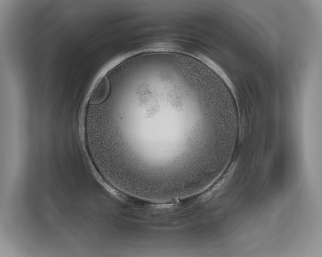 X0000112951437200908241334
