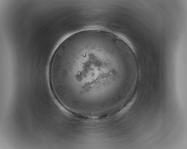 X0000112951438200908241334