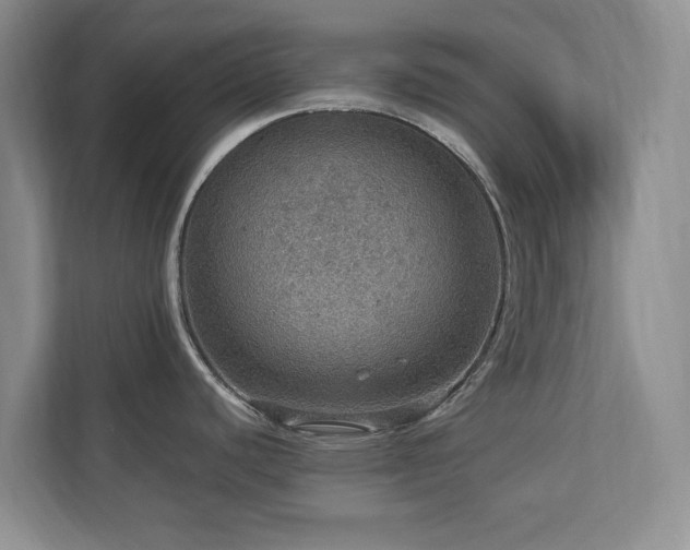 X0000112951440200908241334
