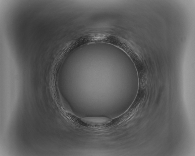X0000112951441200908241333