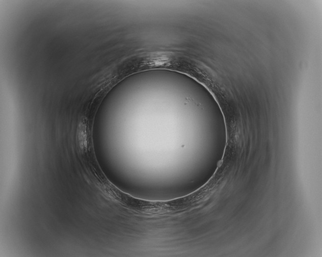 X0000112951442200908241333