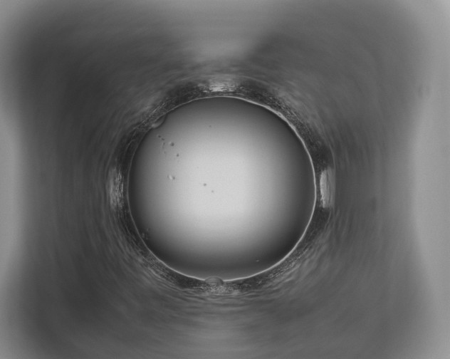 X0000112951443200908241333