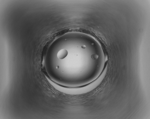 X0000112951445200908241333
