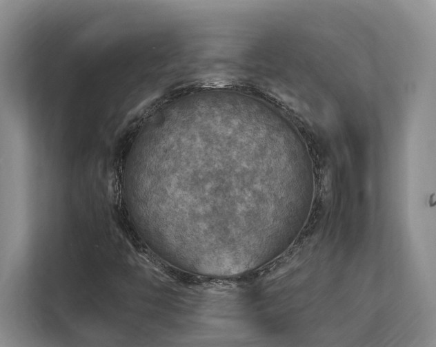 X0000112951446200908241333