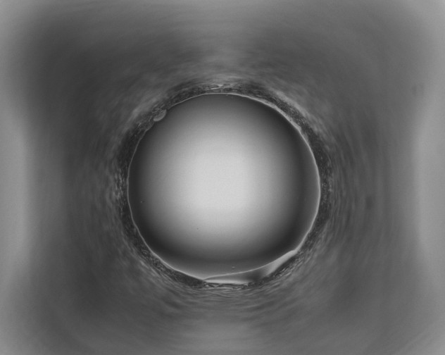 X0000112951447200908241333