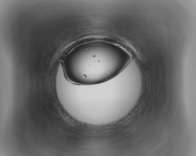 X0000112951448200908241333