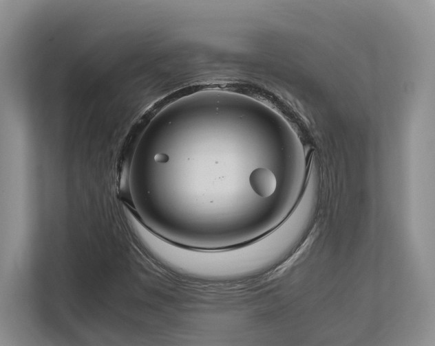 X0000112951449200908241333