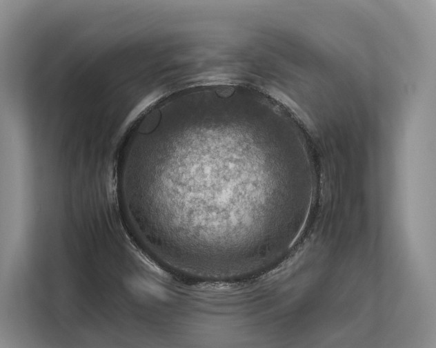 X0000112951450200908241333