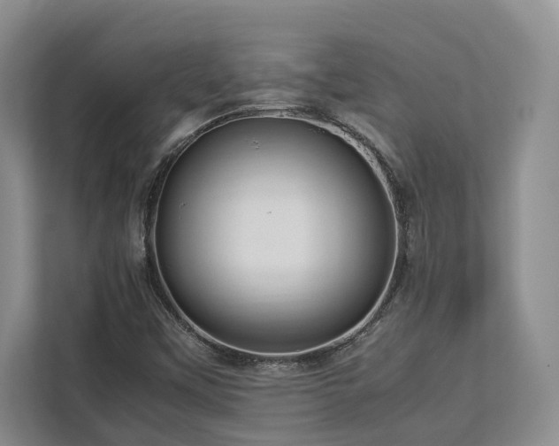 X0000112951451200908241333