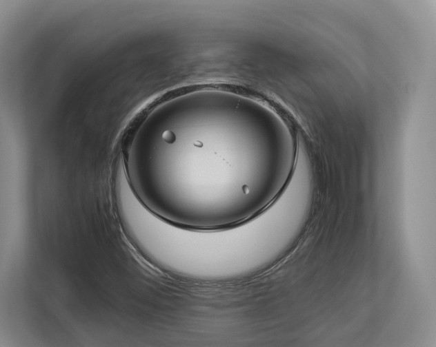 X0000112951452200908241333