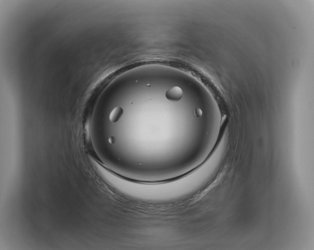 X0000112951453200908241333