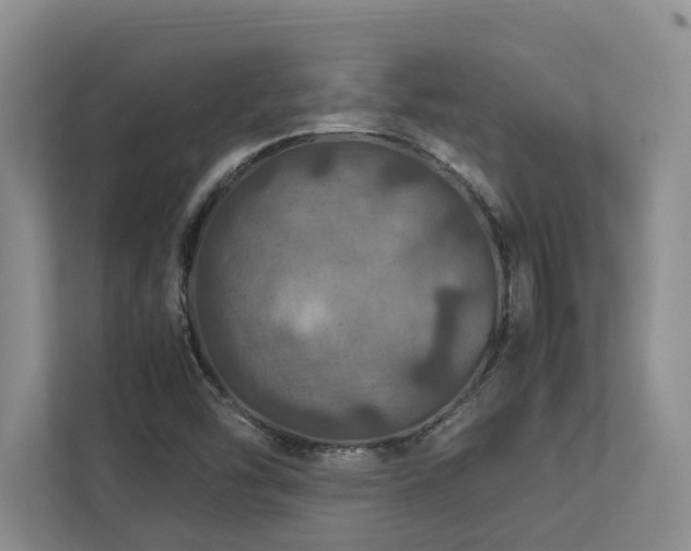 X0000112951454200908241333