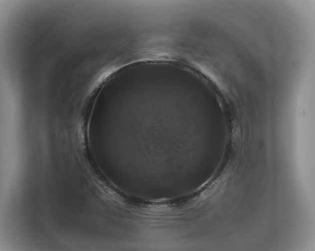 X0000112951455200908241333