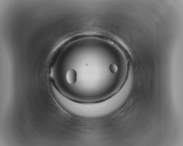 X0000112951456200908241333