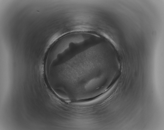 X0000112951459200908241333