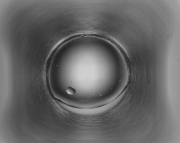 X0000112951460200908241333
