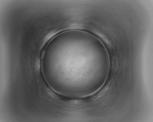 X0000112951461200908241333