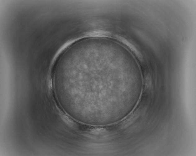 X0000112951462200908241333