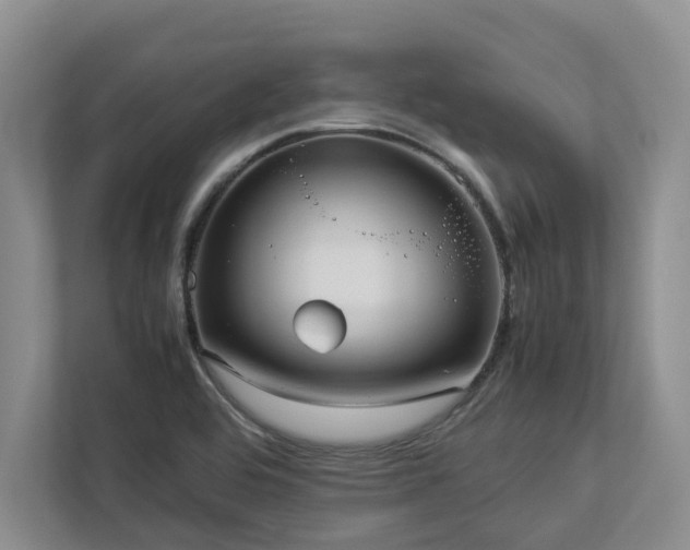 X0000112951464200908241333
