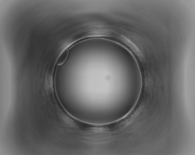 X0000112951465200908241333