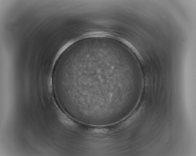 X0000112951466200908241333