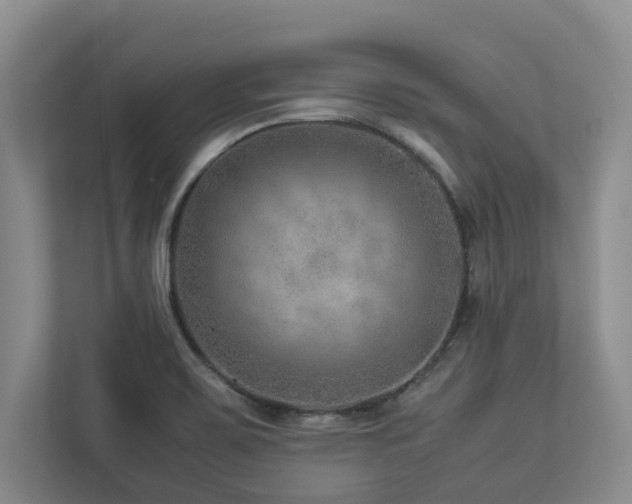 X0000112951467200908241333