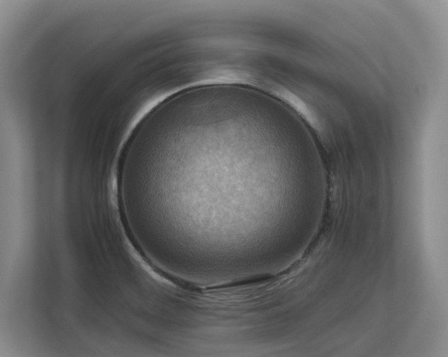 X0000112951468200908241333