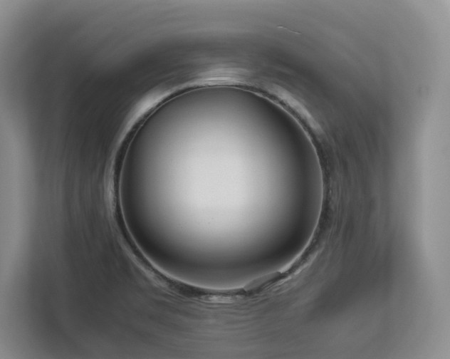 X0000112951469200908241333