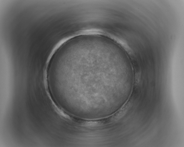 X0000112951470200908241333