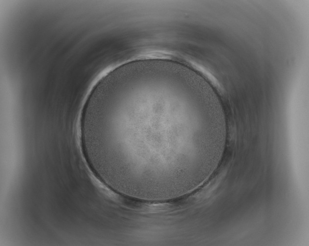 X0000112951471200908241333