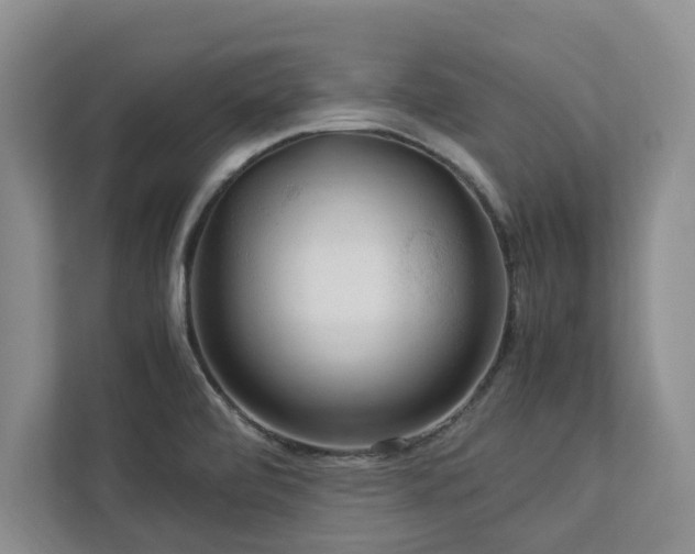 X0000112951472200908241333