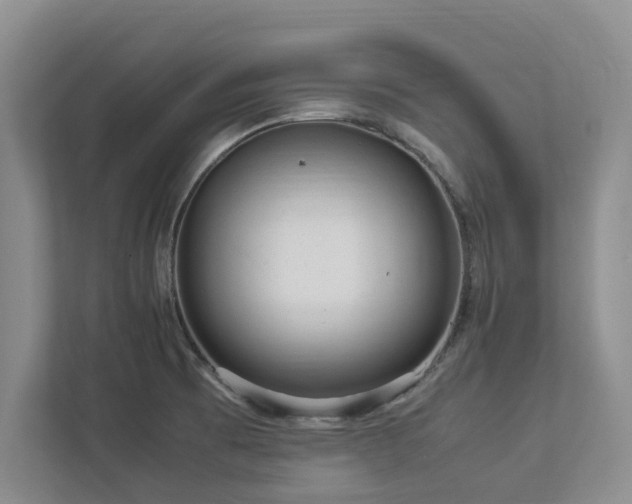 X0000112951473200908241333